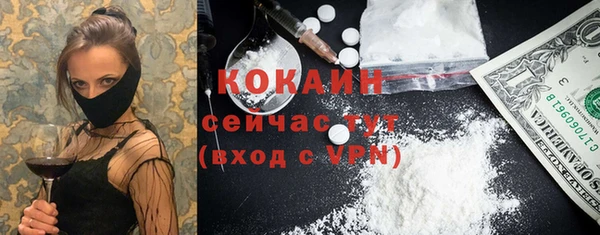 винт Арсеньев