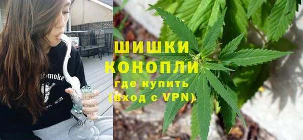 винт Арсеньев