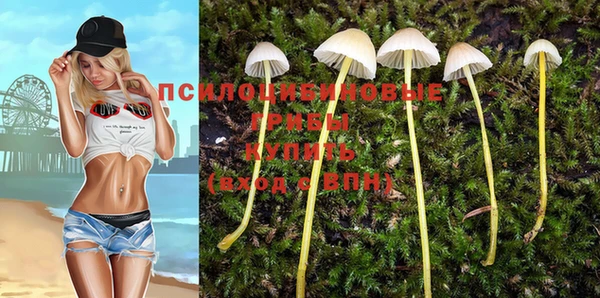 винт Арсеньев