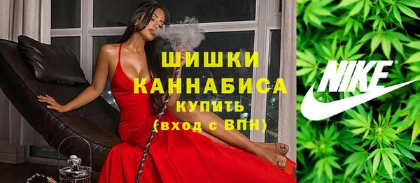 дживик Аркадак