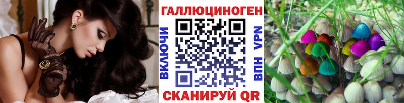 цена   Таруса  Псилоцибиновые грибы мицелий 